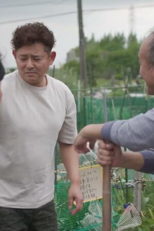 Rio Asahi và đêm hoang dại JUQ-934: Va chạm không lối thoát